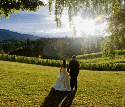 Bride and Groom at Sonoma Vineyard Wedding
